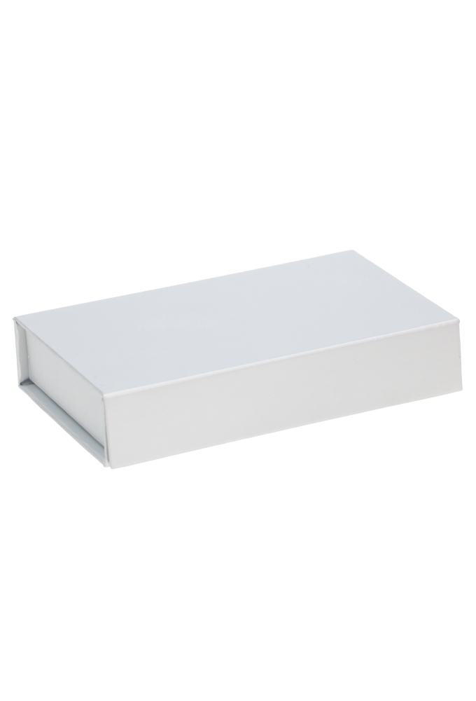 Luxe Magneetdozen 1200 gram Zilver 7x12x2cm 25 stuks