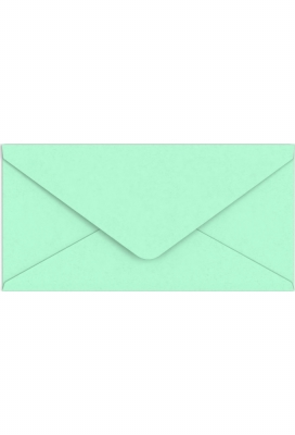 Gekleurde Enveloppen Colour Mint Groen Gegomd 11x22cm 100stuks