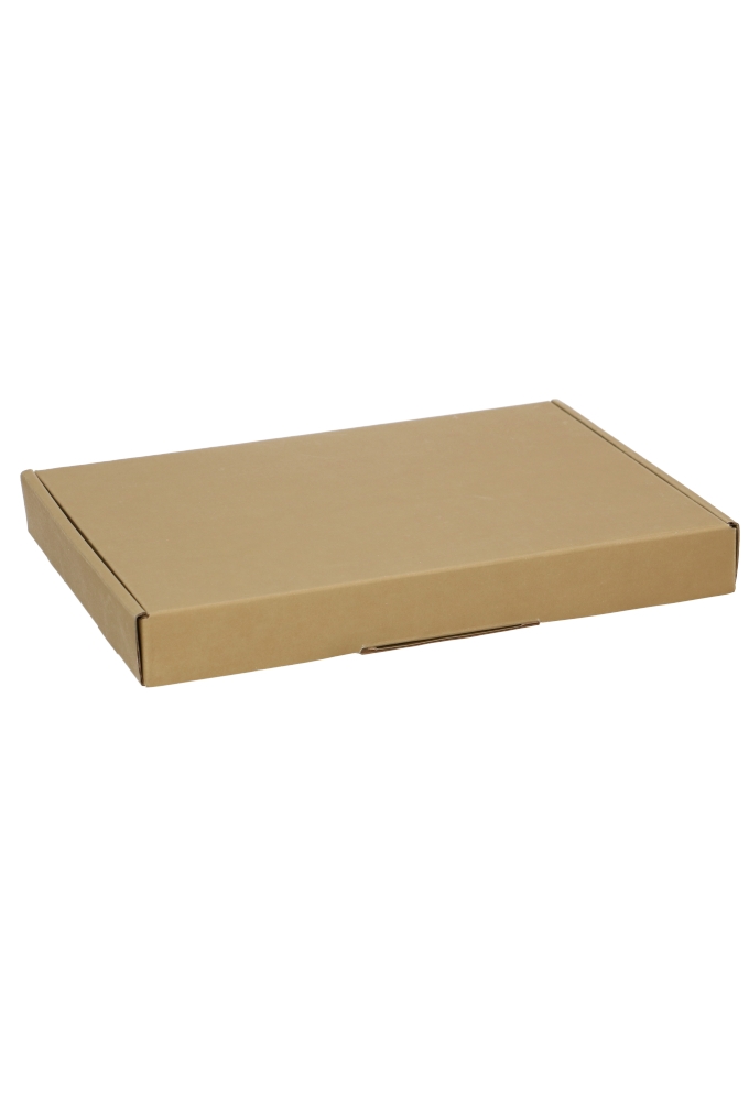 Brievenbusdoos Met Klep Pinto Goud Mat A5 25.5x17.5x2.9cm 100stuks