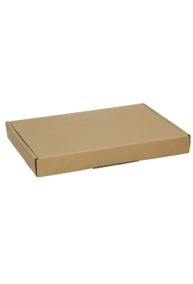 Brievenbusdoos Met Klep Pinto Goud Mat A5 25.5x17.5x2.9cm 100stuks