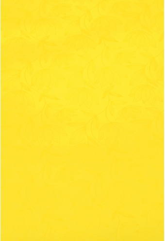 AKTIE Cadeaufolie Dubbelzijdig Geel & Flower Geel & Wit 70cm x 50meter AKTIE Cadeaufolie Dubbelzijdig Geel & Flower Geel & Wit 70cm x 50meter