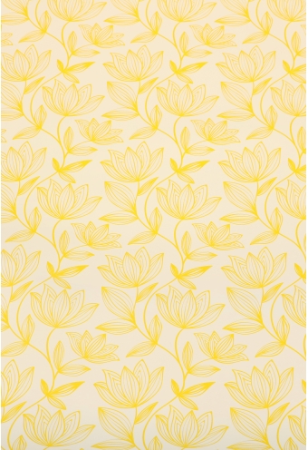 AKTIE Cadeaufolie Dubbelzijdig Geel & Flower Geel & Wit 70cm x 50meter AKTIE Cadeaufolie Dubbelzijdig Geel & Flower Geel & Wit 70cm x 50meter