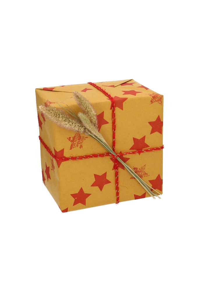 AKTIE Kadopapier Stropapier Stars 70cm x 50meter 65grams