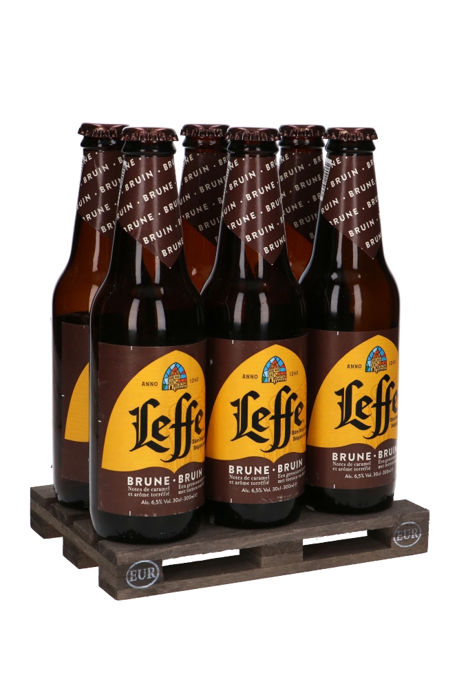 Bierverpakking Mini Palletje 6x33cl Flesjes 15stuks