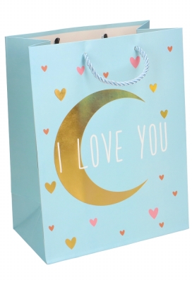 Kadotasjes Kind Medium I Love You Maan 18x10x23cm 12stuks