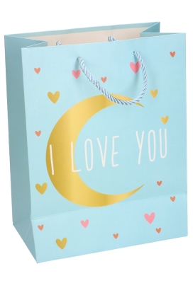 Kadotasjes Kind Medium I Love You Maan 18x10x23cm 12stuks