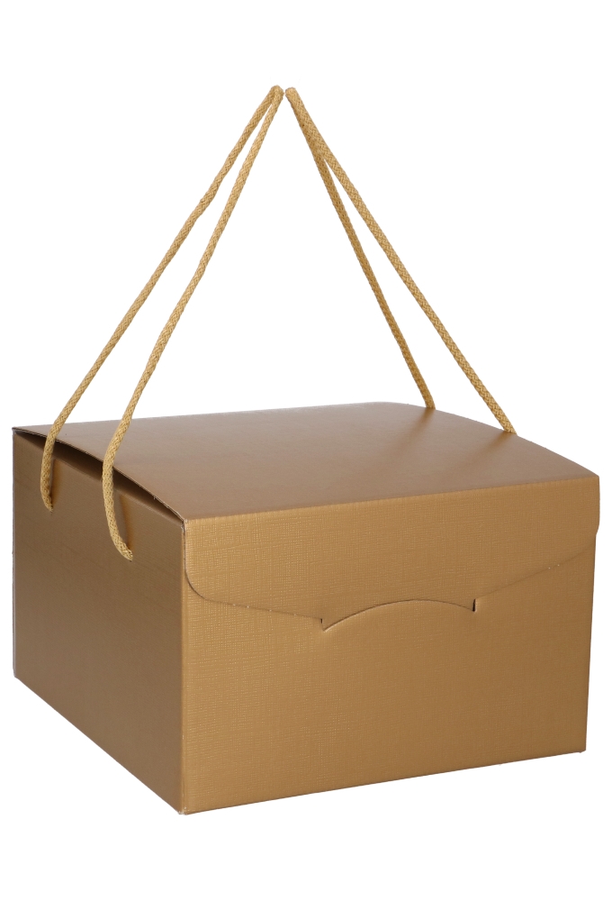 Geschenkdoos Goud & Koord 24.5x24.5x15cm 30stuks