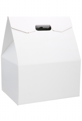 Geschenkdoos Draagbox White 33x25x39cm 30stuks