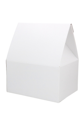 Geschenkdoos Draagbox White 33x25x39cm 30stuks