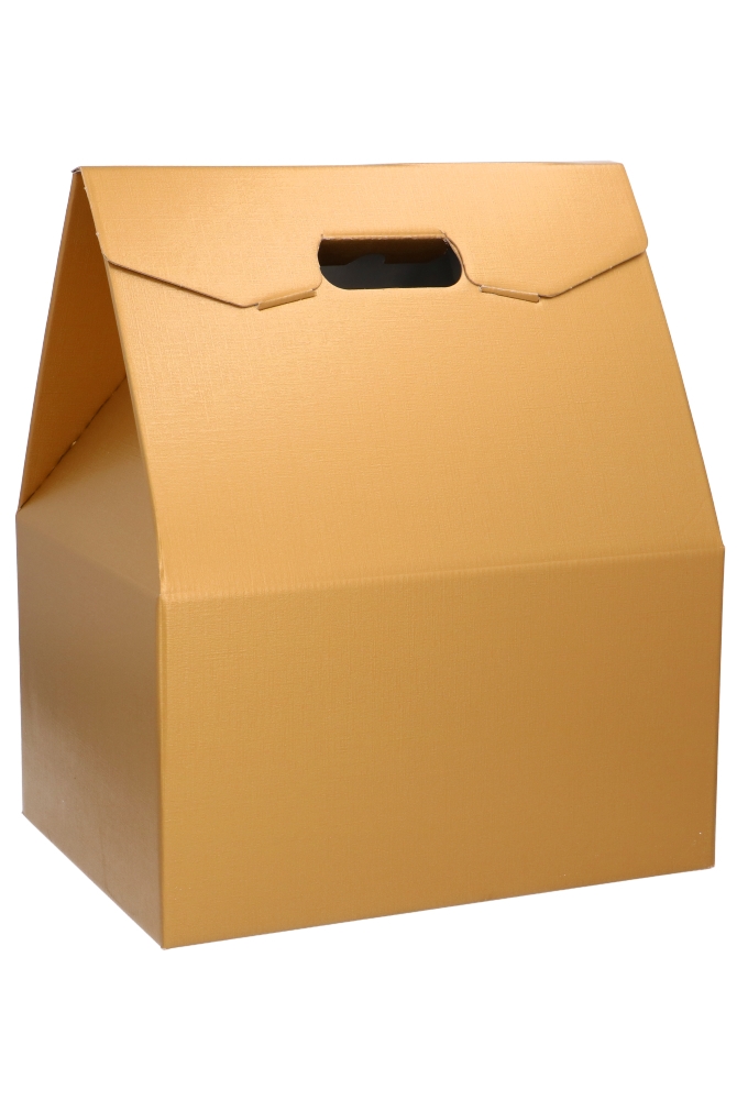 Geschenkdoos Draagbox Gold 33x25x39cm 30stuks