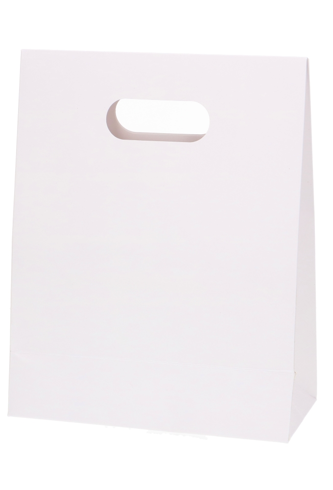 Geschenktasjes Met Handgreep Merry Christmas Wit 19x9x24.5cm 12st