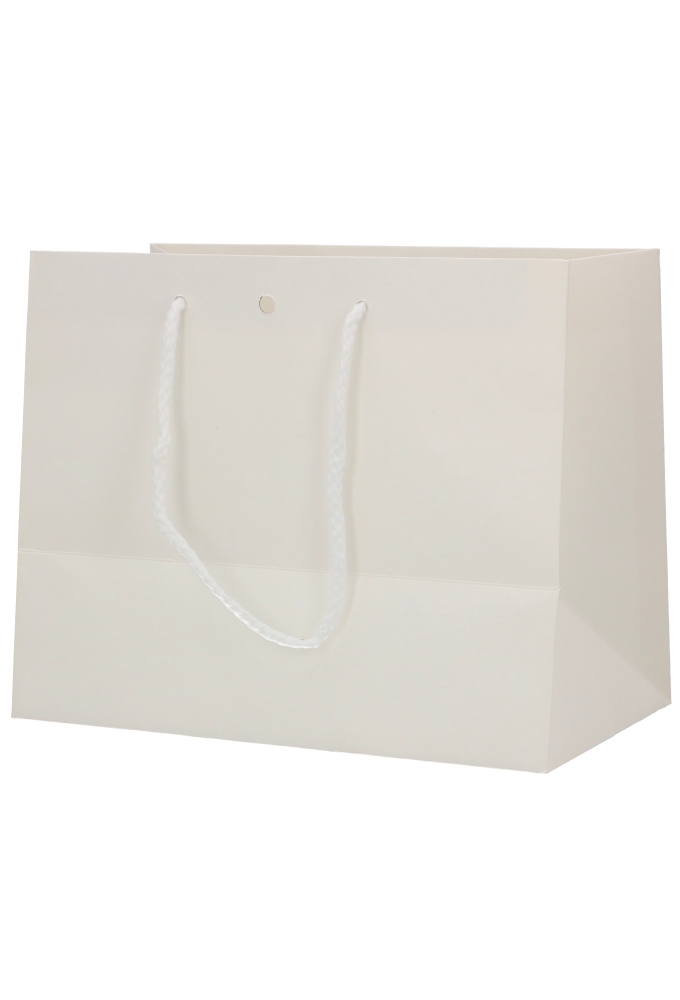 Kadotasjes Lenno Wit Koord Venster & Lintgleuf 24x14x19.5cm 12stuks