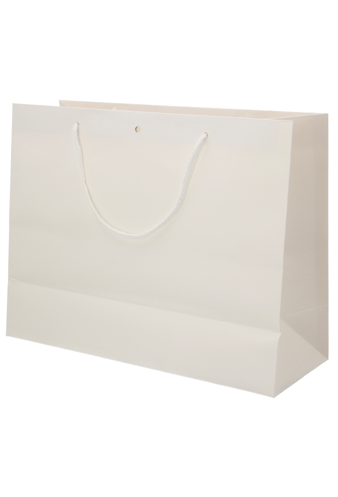 Kadotasjes Lenno Wit Koord Venster & Lintgleuf 40x15x31cm 12stuks