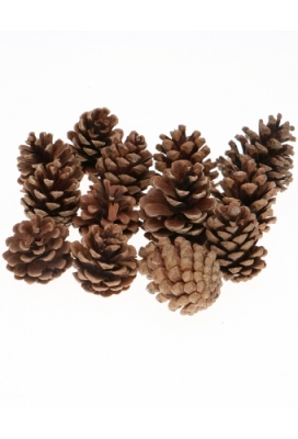 Decoratie Dennenappels Naturel 5-9cm ongeveer 1 kilo 120 a 130stuks