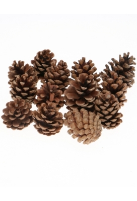 Decoratie Dennenappels Oostenrijker Naturel 4-7cm 1 kilo 55 a 65 stuks
