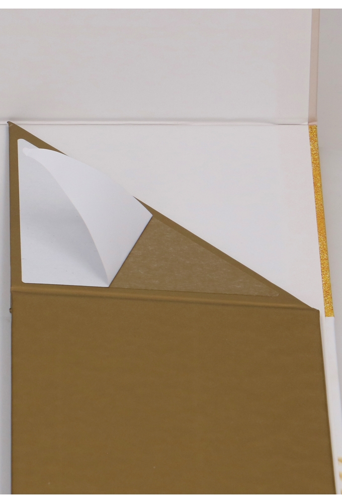 AKTIE Kerst Magneetdozen Golden Christmas Box & Lint 33x25x12cm 1stuk