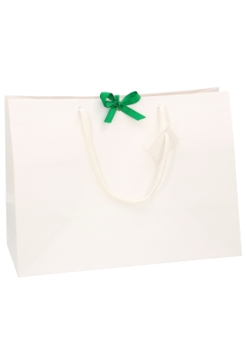 Kadotasjes Praag Line Wit Mat & Lintgleuf 39x18x29cm 10stuks