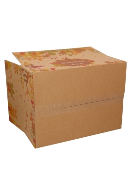 Geschenkdozen Herfstbox kraft 39x29x13cm 15stuks