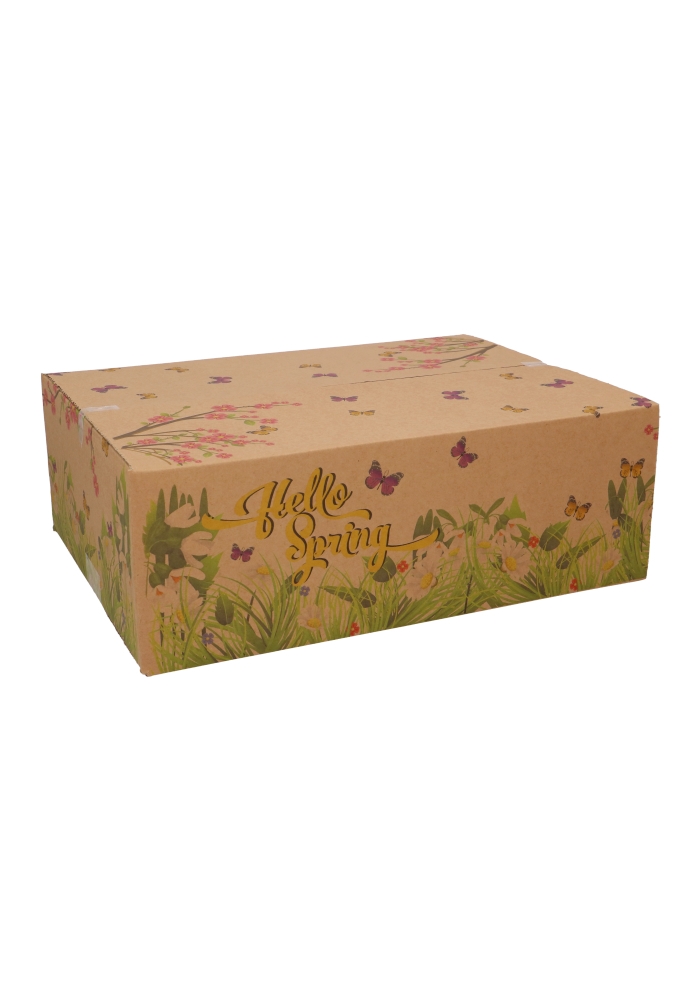 Geschenkdozen Hello Spring kraft 39x29x13cm 15stuks