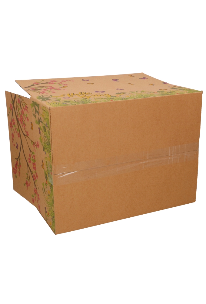 Geschenkdozen Hello Spring kraft 39x29x13cm 15stuks