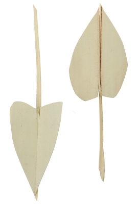 Decoratie Gedroogde Blad Palm Arrow Leaves Naturel 6x23cm ca 100stuks