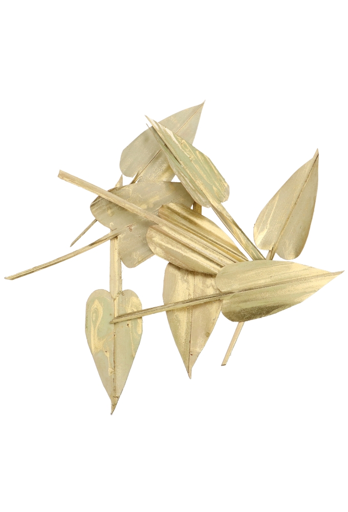 Decoratie Gedroogde Blad Palm Arrow Leaves Goud 6x23cm ca 100stuks