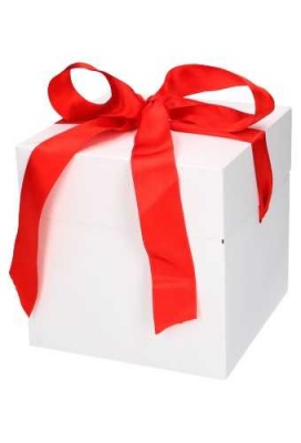 Geschenkdoos Regalo Wit Mat & Rood Lint 15x15x15cm 23stuks