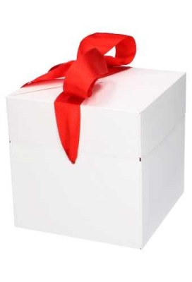 Geschenkdoos Regalo Wit Mat & Rood Lint 15x15x15cm 23stuks