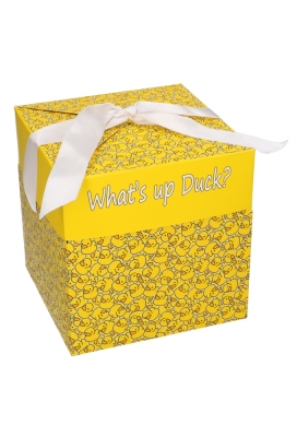 2 HALEN 1 BETALEN Geschenkdoos What's up Duck 20x20x20cm 25stuks