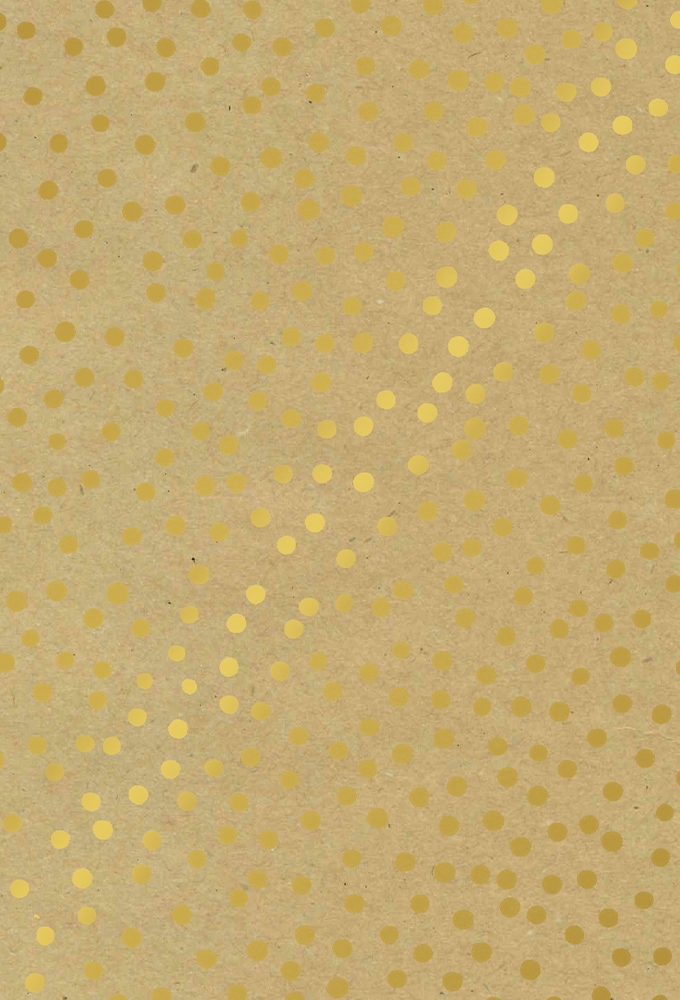 Kerstpapier Consumentenrollen Winter Kraft Dots 70cm x 2meter 1stuks