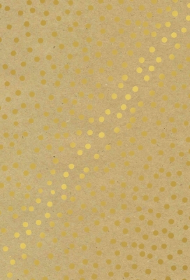 Kerstpapier Consumentenrollen Winter Kraft Dots 70cm x 2meter 1stuks