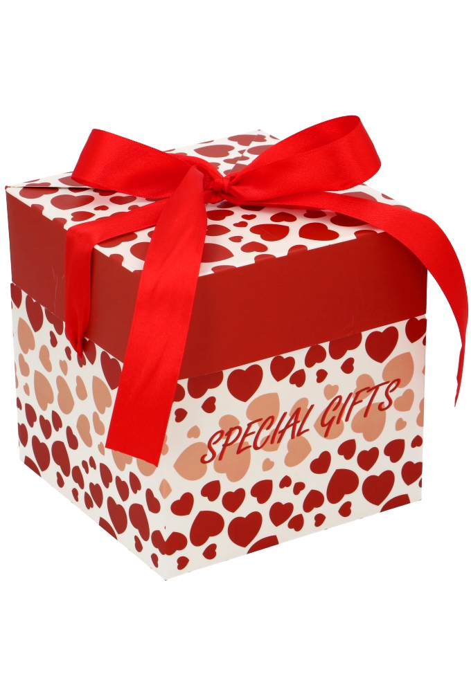 Geschenkdoos Regalo Special Gifts Hartjes Rood Lint 15x15x15cm 25stuks