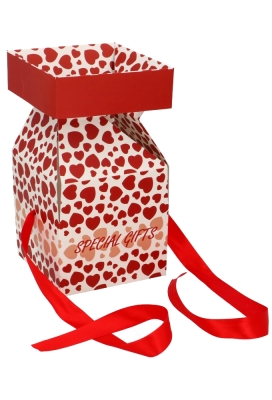 Geschenkdoos Regalo Special Gifts Hartjes Rood Lint 15x15x15cm 25stuks op is op