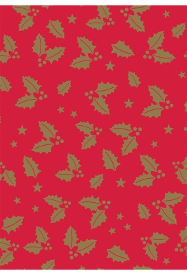 Kerstpapier Consumentenrollen Kerstmis Hulsttak Rood 70cm x 2meter 1s