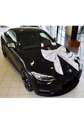 Megastrik Dubbel Zilver Lucca 77x50+40cm & Zuignap lint 25cm