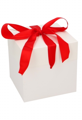 Geschenkdoos Regalo Wit Mat & Rood Lint 15x15x15cm 25stuks