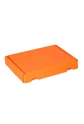 Brievenbusdoos Met Klep Pinto Kraft Oranje A6 16x12x2.5cm 23stuks