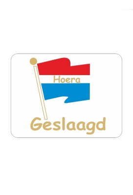 Etiketten Hoera Geslaagd Vlag 3.2x2.5cm 500stuks