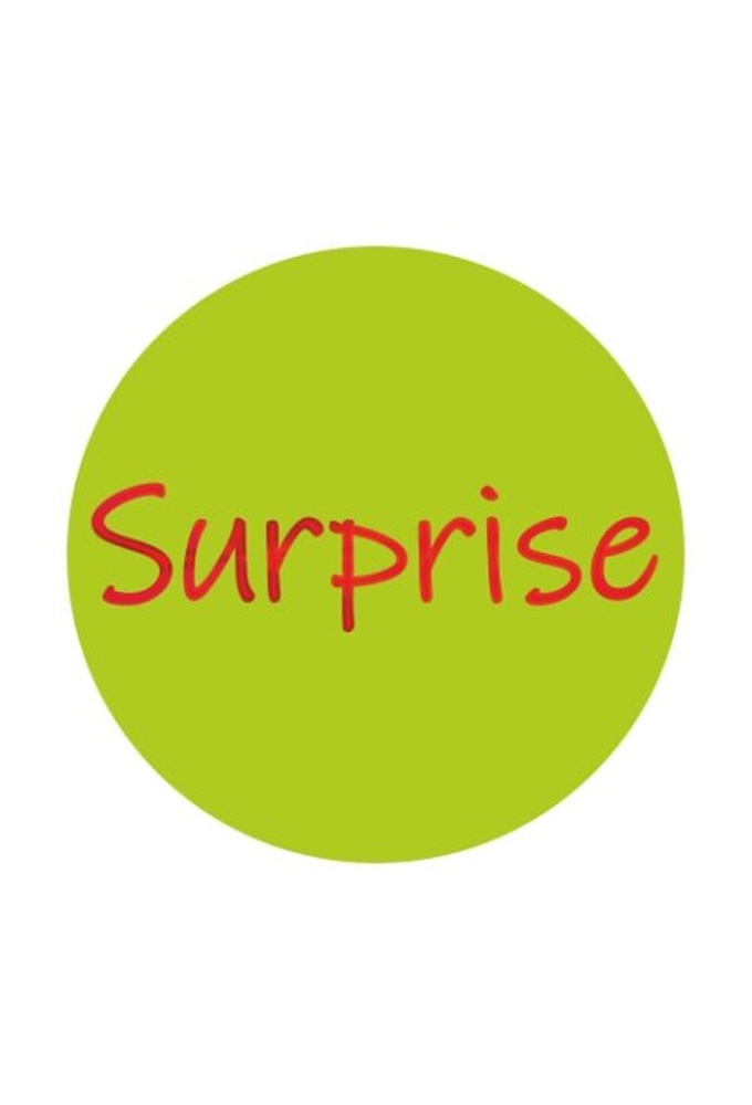 Etiketten Feest Surprise Fuchsia Groen 3.9cm 250stuks