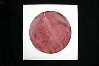 AKTIE Luxe Decoratie Veren 40 gram Donker Bruin