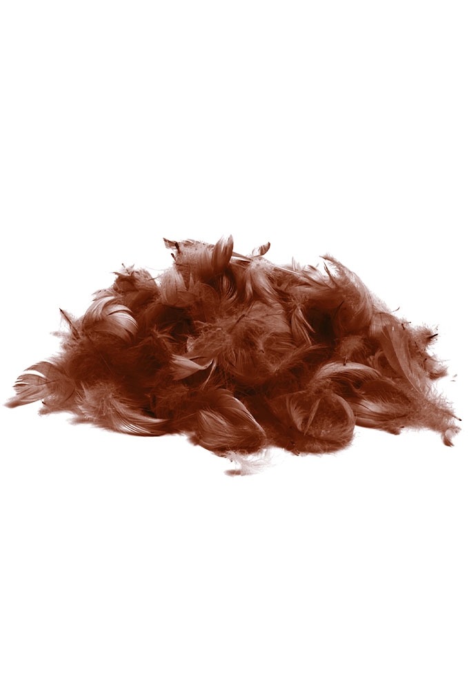 AKTIE Luxe Decoratie Veren 40 gram Donker Bruin