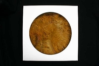 AKTIE Luxe Decoratie Veren 40 gram Safari