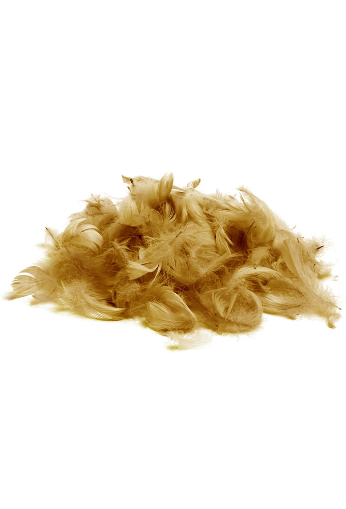 AKTIE Luxe Decoratie Veren 40 gram Safari