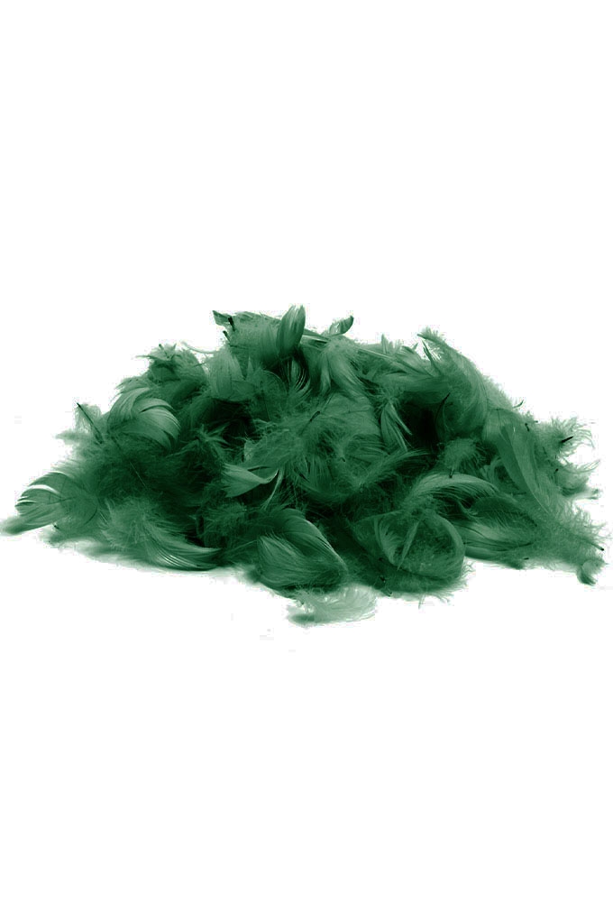 AKTIE Luxe Decoratie Veren 40 gram Donkergroen