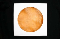 AKTIE Luxe Decoratie Veren 40 gram Peach