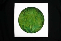 AKTIE Luxe Decoratie Veren 40 gram Groen