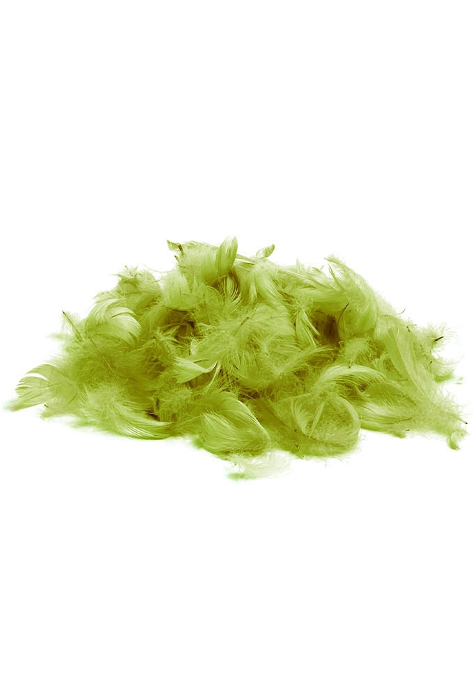 AKTIE Luxe Decoratie Veren 40 gram Groen