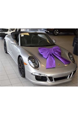 Megastrik Dubbel Paars Lucca 77x50+40cm & Zuignap lint 25cm