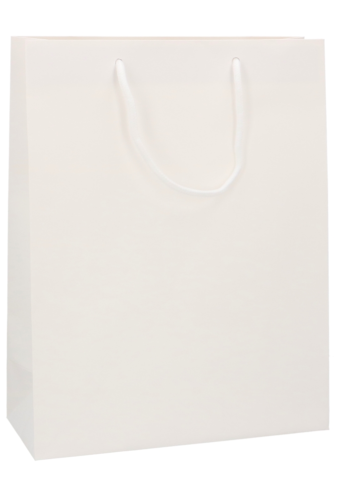 Luxe Papierentas Mat Kopenhagen Wit & Koord 28x12x36cm 10stuks