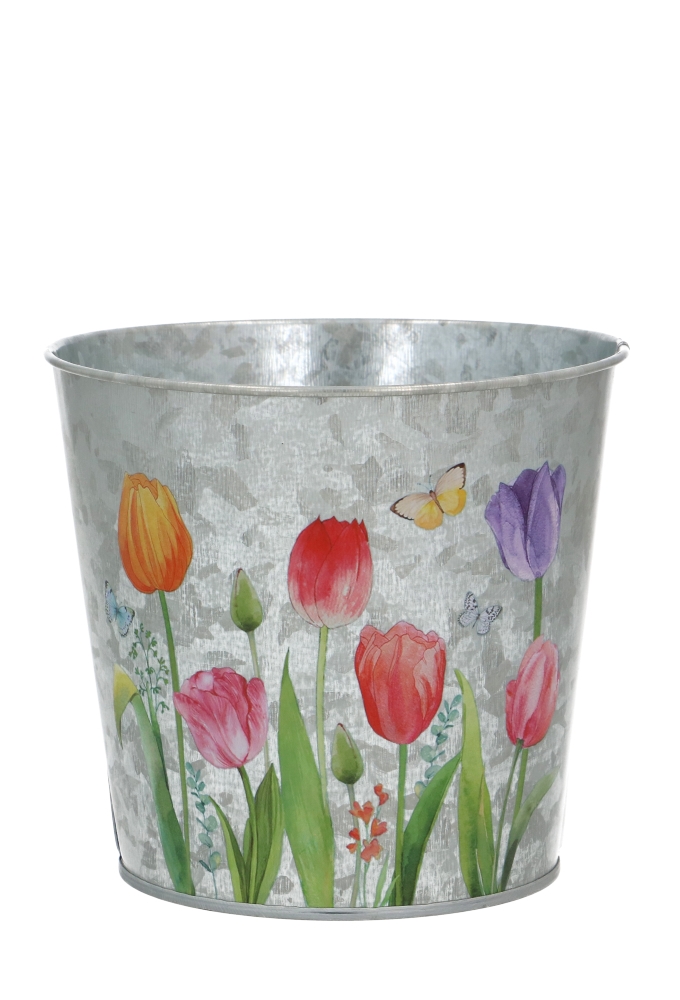 Blikken Emmer Tulpen 13x11,5cm 24stuks